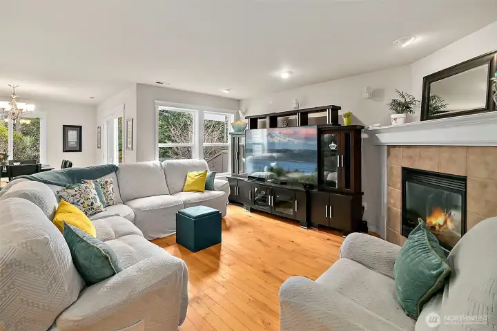 Family Room