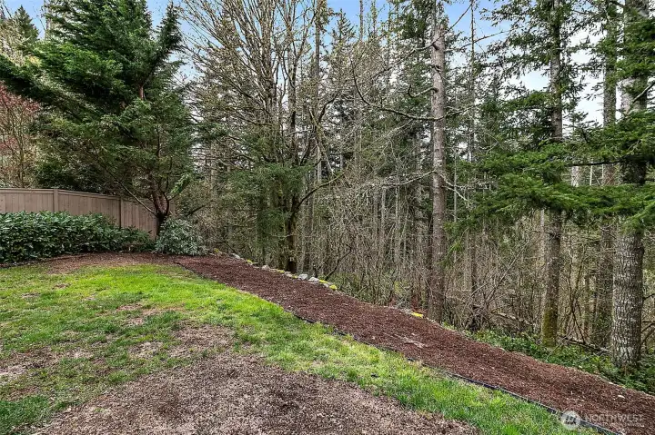 Backyard Backs Up to Greenbelt