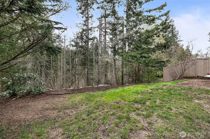 Backyard Backs Up to Greenbelt
