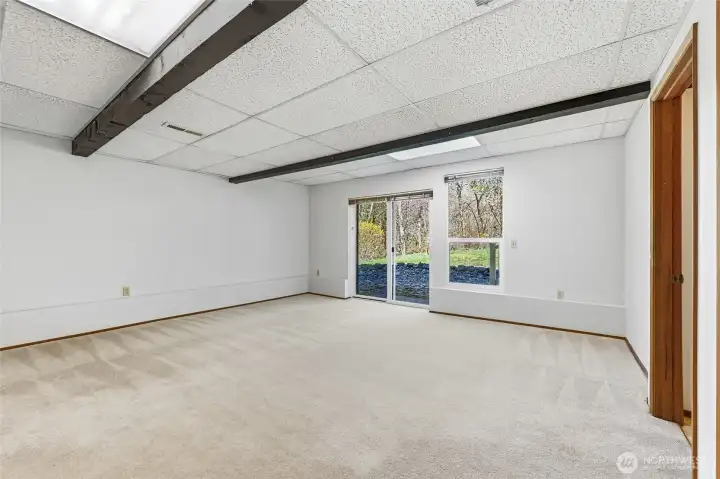 Rec/Bonus Room at lower level