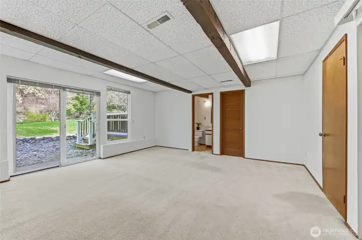 Rec/Bonus room view to outside and bathroom w/shower
