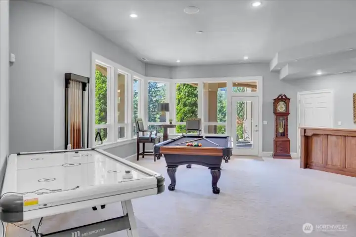 Large Recroom Downstairs
