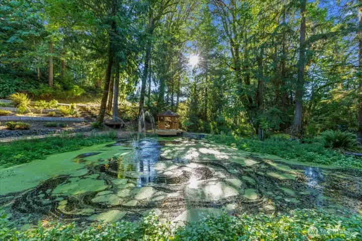 Fountain