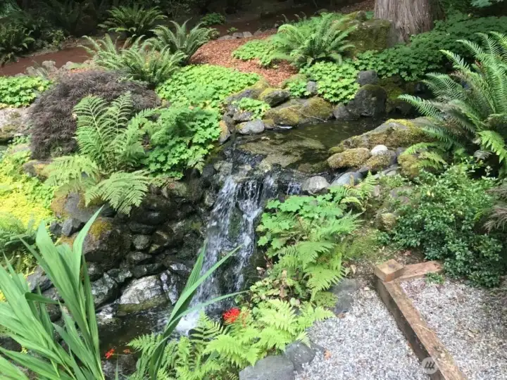 Waterfalls