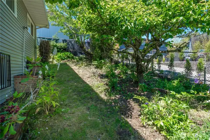 Private Backyard Private Backyard