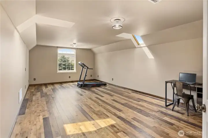 Bonus room/flex space