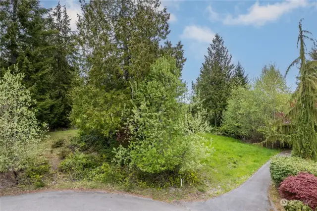 A view of the lot from the street. Your driveway would start at the white marker. There is a neighborhood trail and short easement between the lot and the paved trail. Peaceful neighbors and polite walkers on this cul-de-sac and North Bay trails