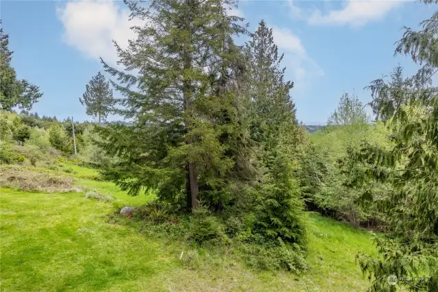 This lot has some great trees, but is mostly cleared. Plenty of room on a 3/4 acre to build a custom home or use the sellers plans to build their dream home and enjoy it yourself!