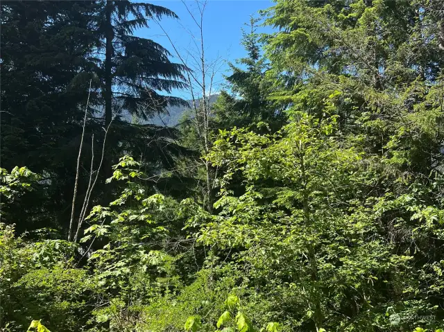 Territorial views across the valley toward the Tatoosh Wilderness