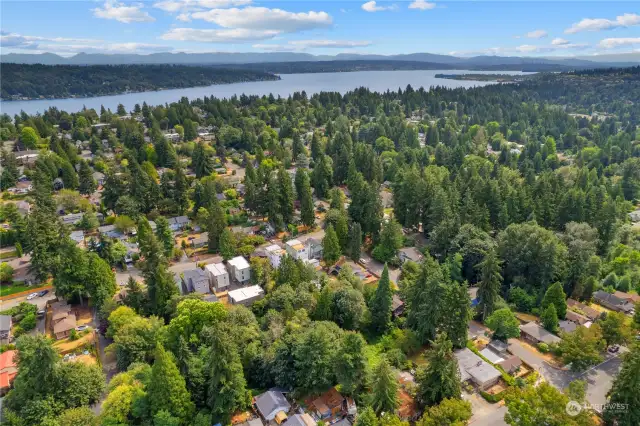 A beautiful aerial view of the surrounding neighborhood, showcasing proximity to lush green spaces.