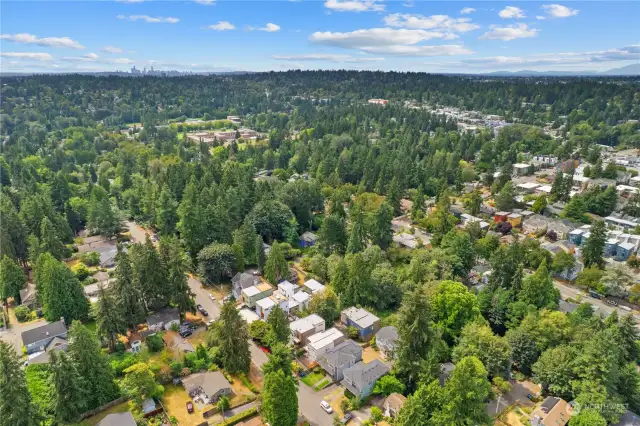 An aerial perspective highlighting the peaceful, tree-lined streets and vibrant community atmosphere.