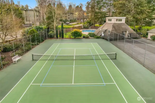 Tennis Court