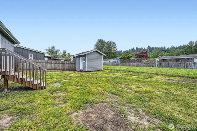 Backyard
