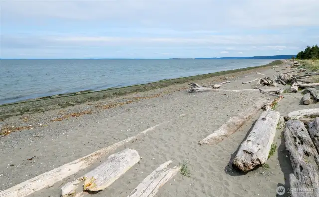 Community Beach