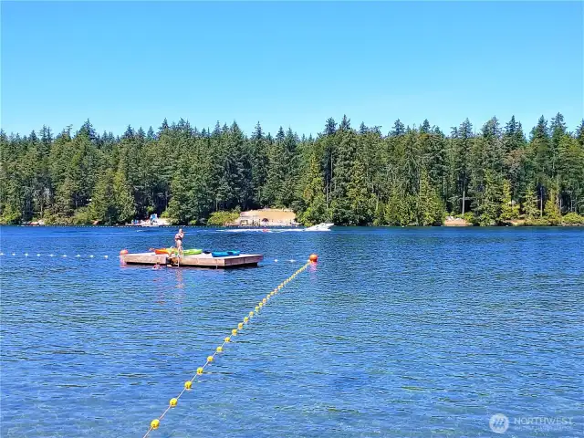 Swimming in the Lake