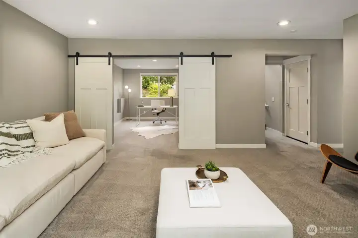 Lower level family room