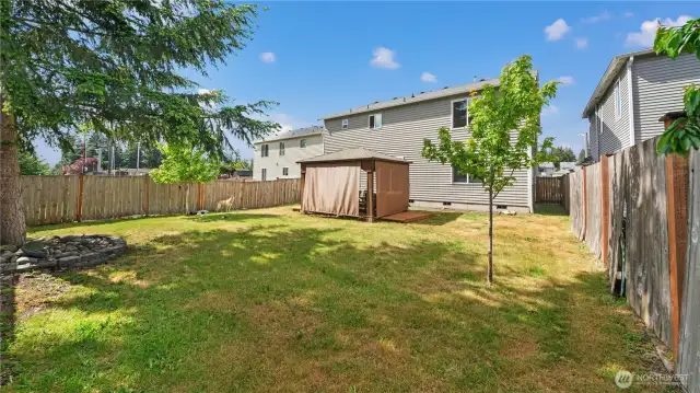 Backyard