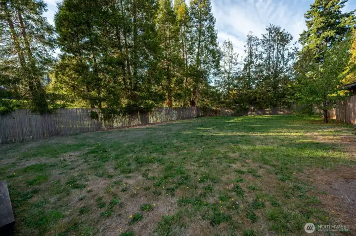 Backyard