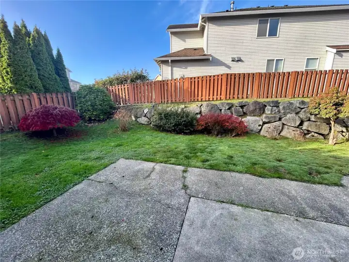 Great back yard with a Japanese maple