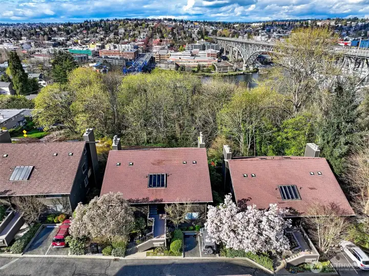 Notice how many trees surround the property.