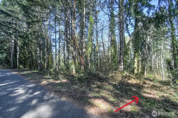 Photo of eastern side of property - path-like clearing between subject property and neighbor to the east where the property drops off