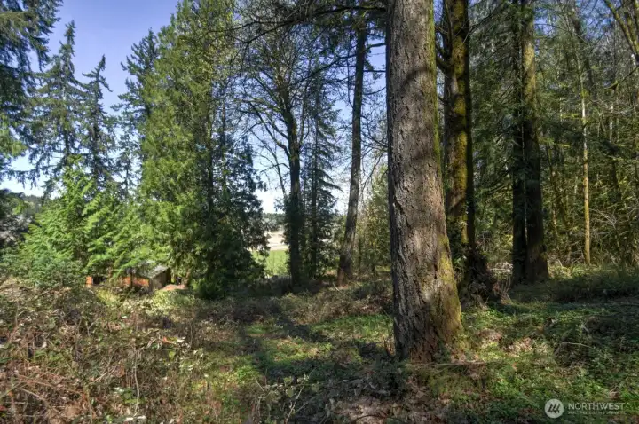 Western side of lot with view of stable that belongs to 7618 Holiday Valley (neighbor to the west). Seller used to own 7618 Holiday Valley Drive