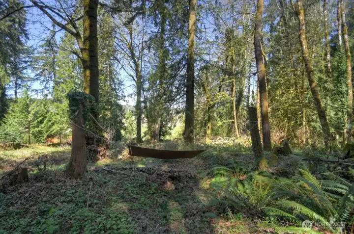 View of middle center of property with hammock