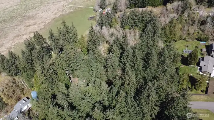 Aerial view of property