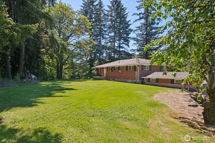 Upper level back yard
