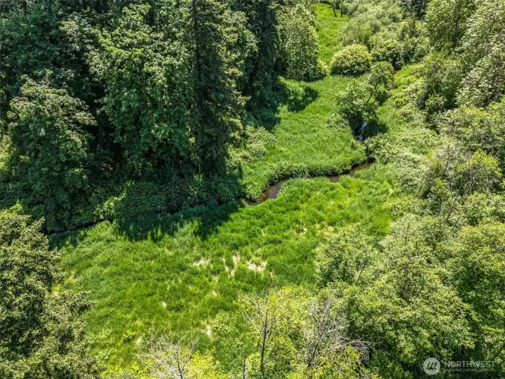 Land south of home including Hylebos Creek