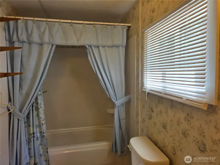 Hall bathroom