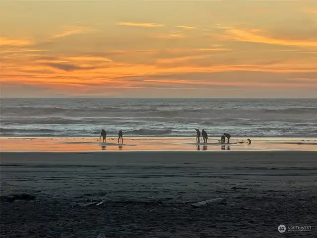 Clam digging, crabbing and fishing