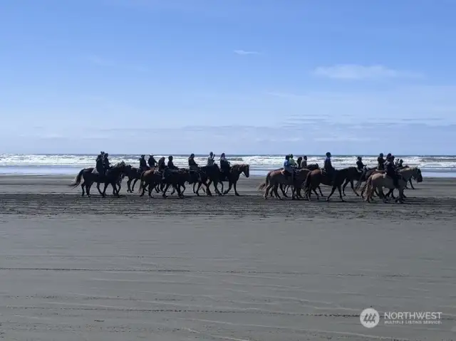 Horseback riding on the beach