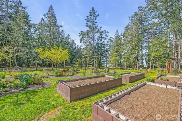 Delight in your garden of flowers, fruit trees and vegetibles.