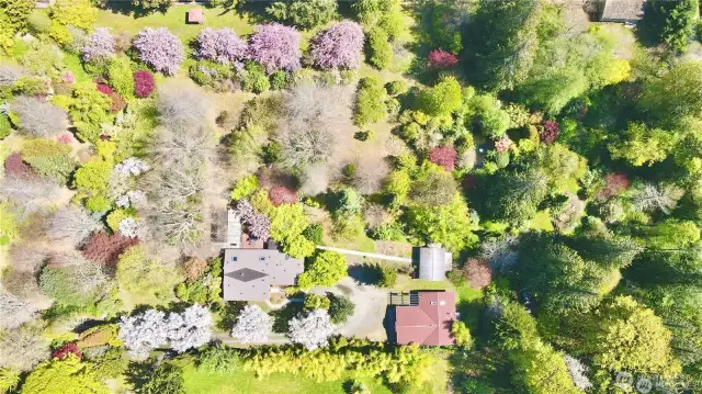Aerial View of fully fenced 5 acres