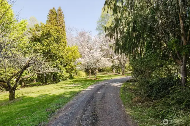 A tree-lined driveway offers a sense of arrival as it gently leads you into the heart of the property.