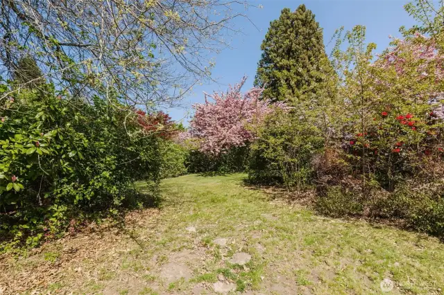 Wander among an enchanting variety of plantings: vibrant rhododendrons, blooming azaleas, ornamental cherry trees, maples, and countless other mature specimens that create a magical, ever-changing landscape.
