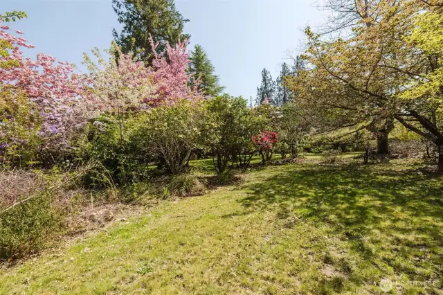 This rare offering spans five fenced acres on two tax parcels, brimming with botanical beauty and natural serenity.