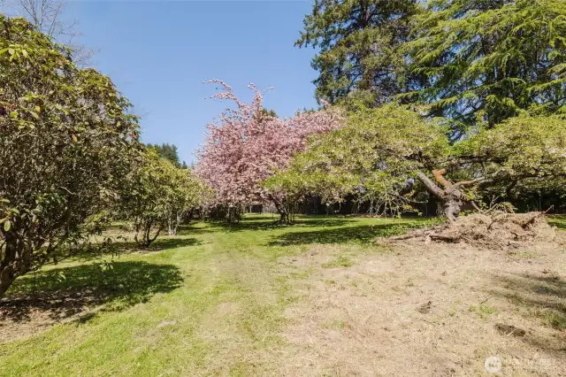 Peaceful setting near Hood Canal and Olympic Mountains—perfect for quiet living or hobby gardening.