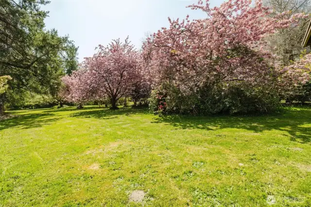 Formerly a public garden, Brinnon Gardens spans 5 lush, fenced acres with rare rhododendrons, azaleas, maples, and more. Includes pond, stream, greenhouse w/climate control, and 2,670 sq ft home + 2 guest studios. Decks, barn, 3-car garage, and gated entry. A botanical paradise at the foot of the Olympics, near Hood Canal—awaiting a green thumb to revive its glory.