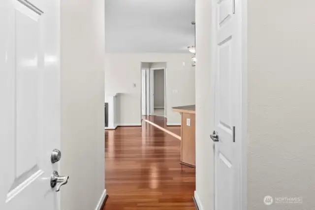Welcome, shows like new!