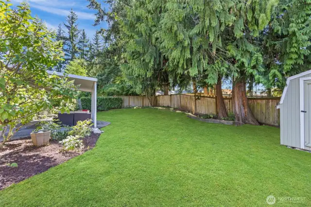 Other View of Backyard