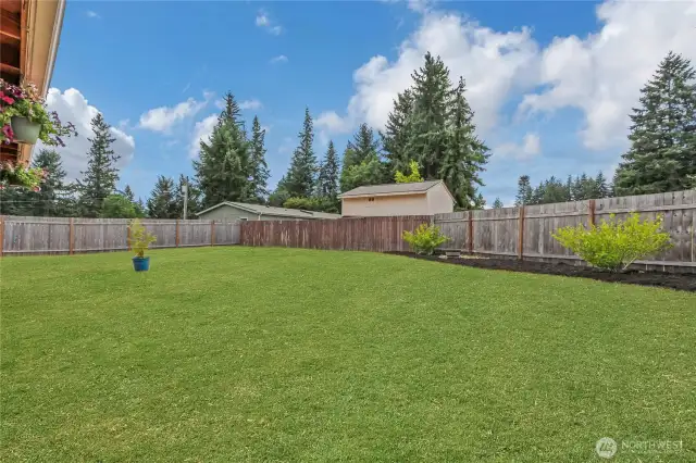Virtual view of what the grass looks like when greened up.