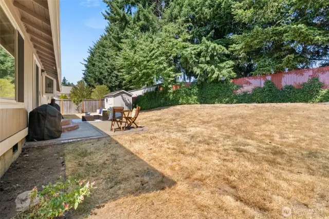 Fully fenced backyard with mature trees for privacy.