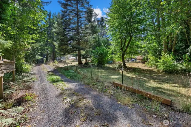 Left side of the circular driveway.