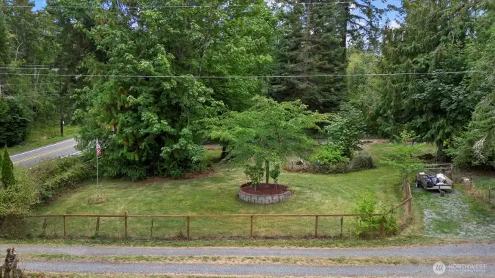 Side view of front yard