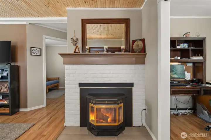 Pellet stove to keep you warm in the winter!