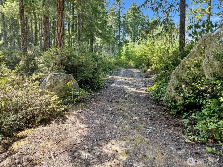Driveway located on back side of property off of Beauridge Ln.