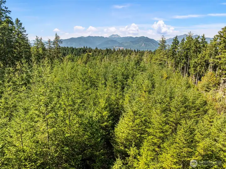 Close to Seabeck marina, Scenic Beach State Park, local hiking trails and more!