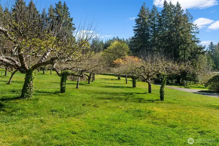 Quiet and serene setting. Quiet and serene setting.